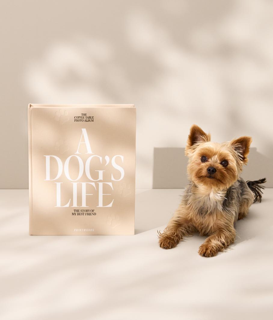 Dog Album - A Dog's Life