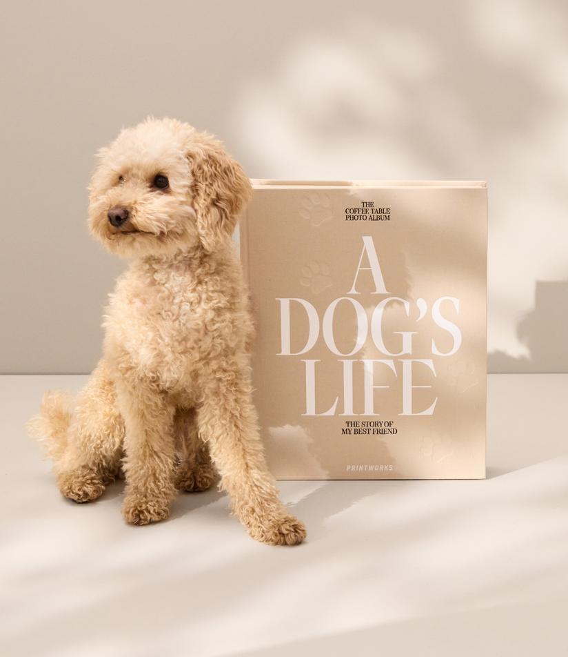 Dog Album - A Dog's Life