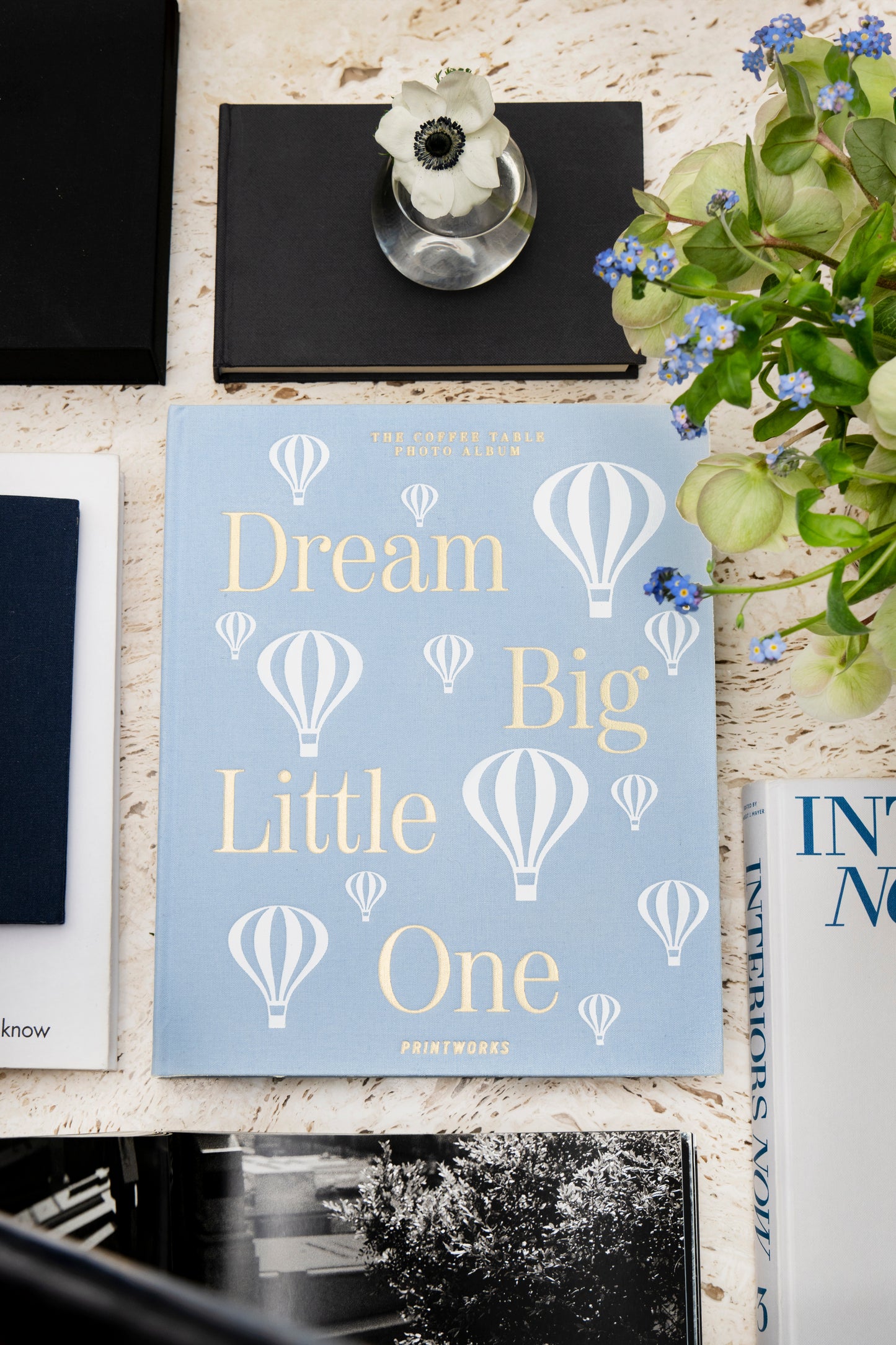 Baby Photo Album - Dream Big Little One