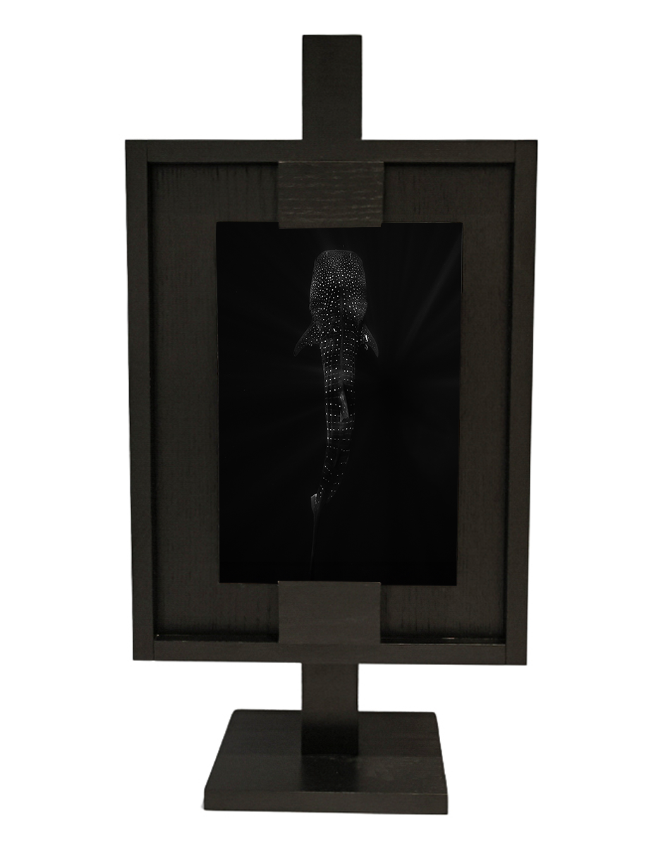 Photographic Canvas