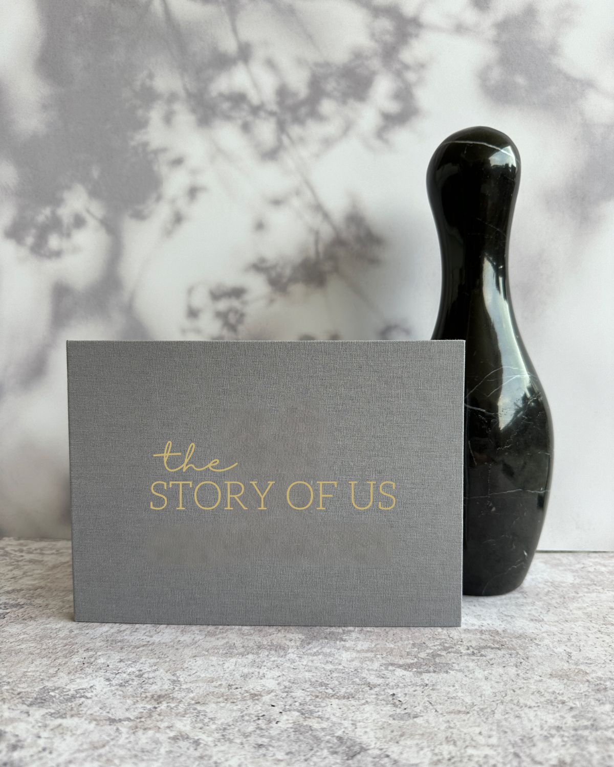 Album de video The Story of us Videobook Gris