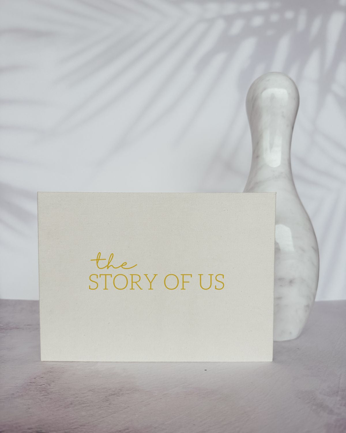 Album de video The Story of us Videobook Beige