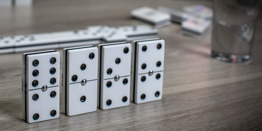 leather dominoes 