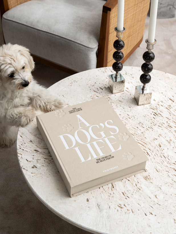 Perro_Dog_album_Printworks_alibro_decorativo_Lifestyle_2