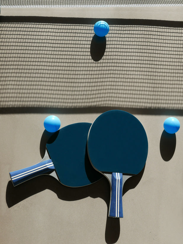 Ping Pong - Portable Table Tennis