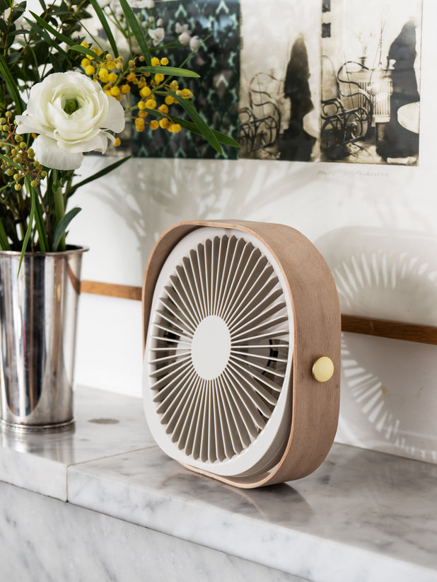 Portable Fan - Fantastic